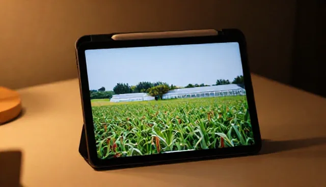 故障排查：软件选型关注点分析